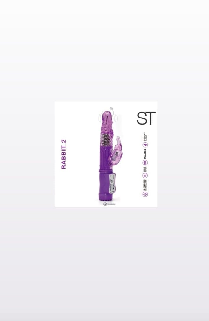 Rabbit 2